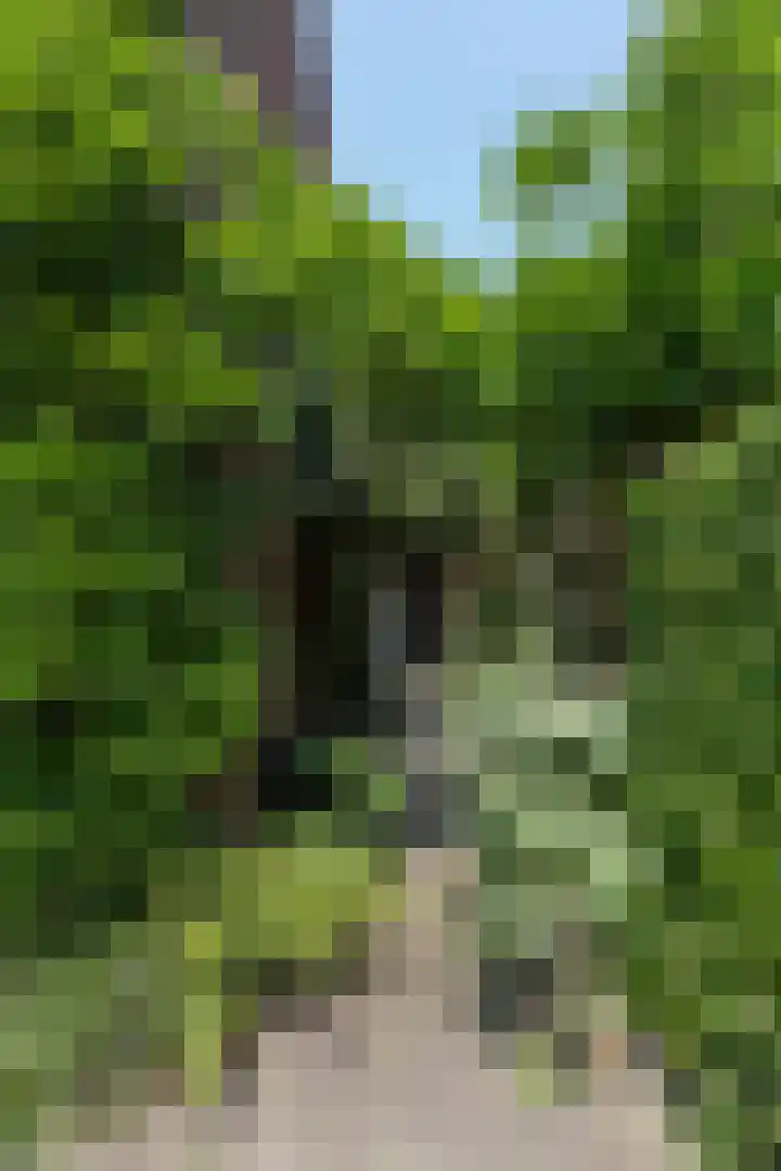 Beukendreef 50 Oisterwijk thumbnail 40