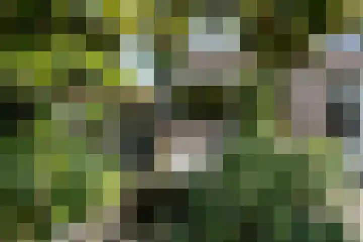Beukendreef 50 Oisterwijk thumbnail 44