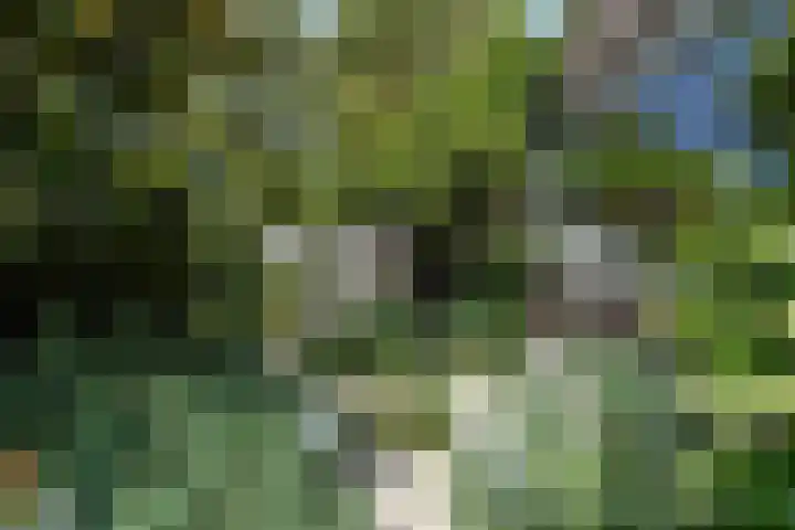 Beukendreef 50 Oisterwijk thumbnail 45