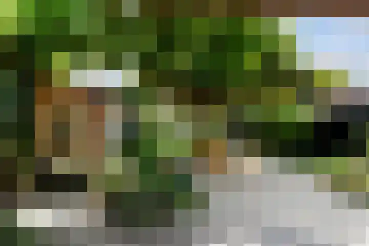 Beukendreef 50 Oisterwijk thumbnail 49