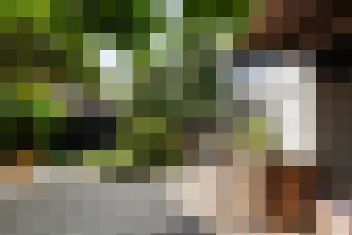 Beukendreef 50 Oisterwijk thumbnail 50