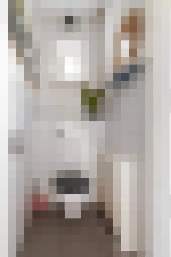 Beukendreef 50 Oisterwijk thumbnail 7