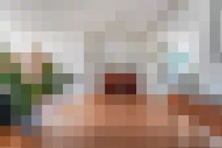 Beukendreef 50 Oisterwijk thumbnail 9