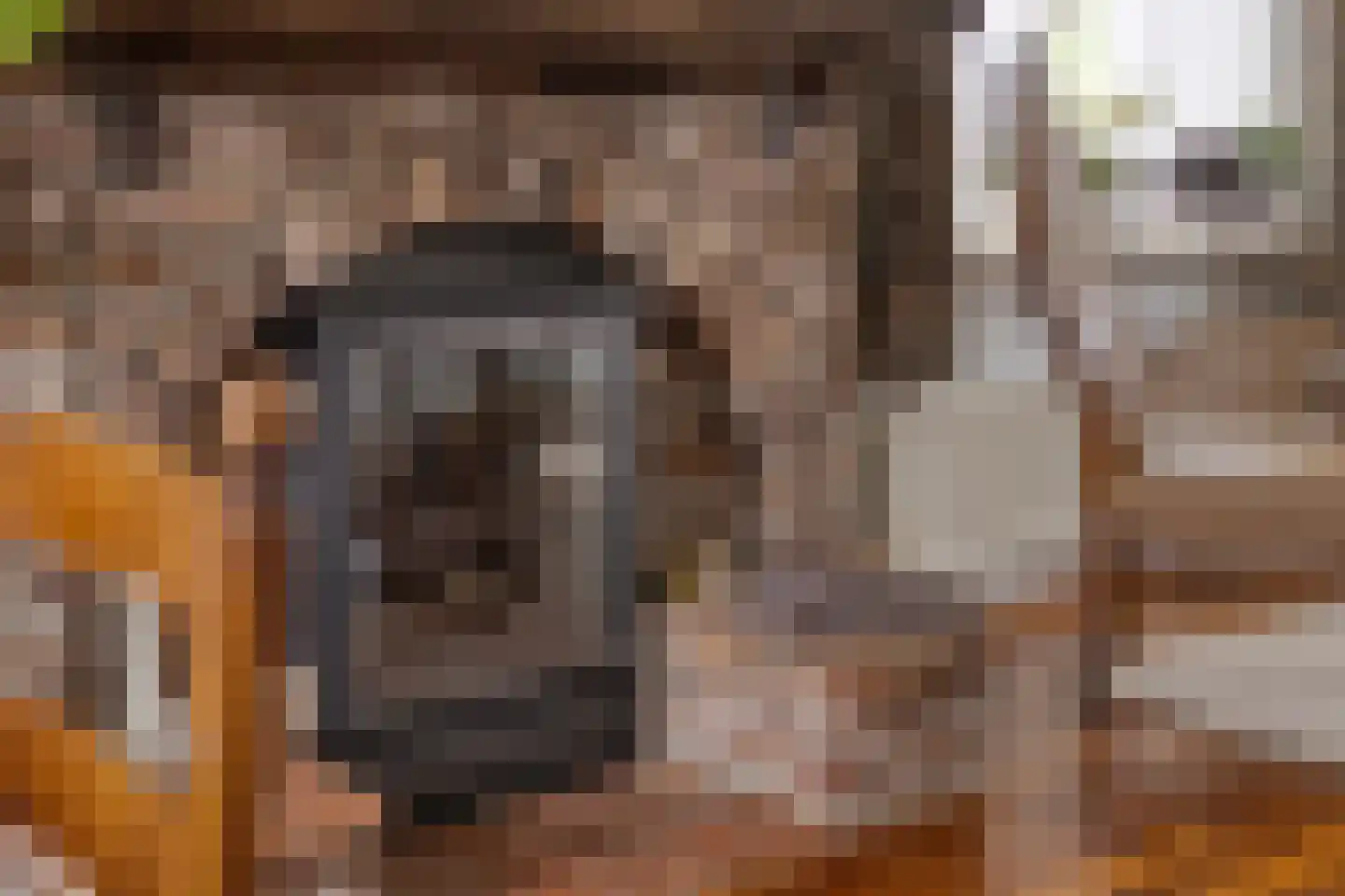 Beukendreef 73 Oisterwijk thumbnail 12