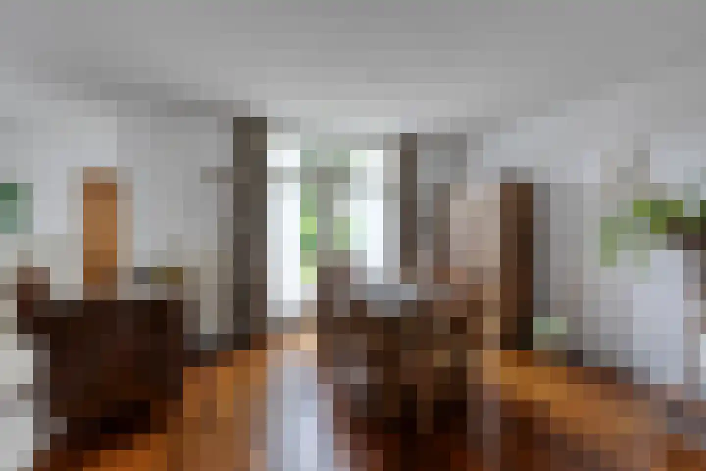 Beukendreef 73 Oisterwijk thumbnail 15