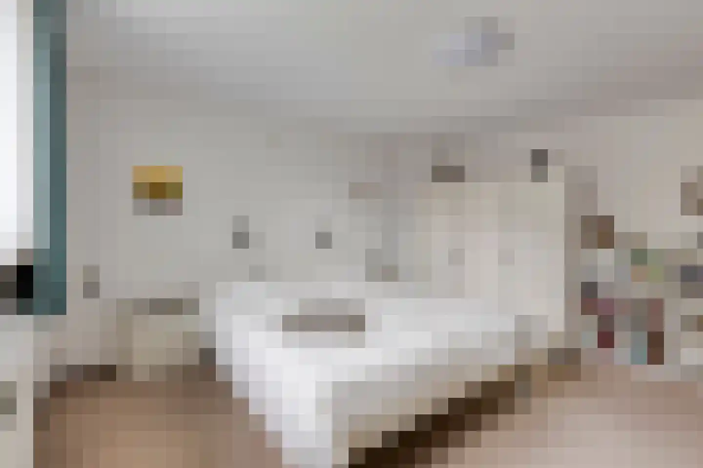 Beukendreef 73 Oisterwijk thumbnail 27