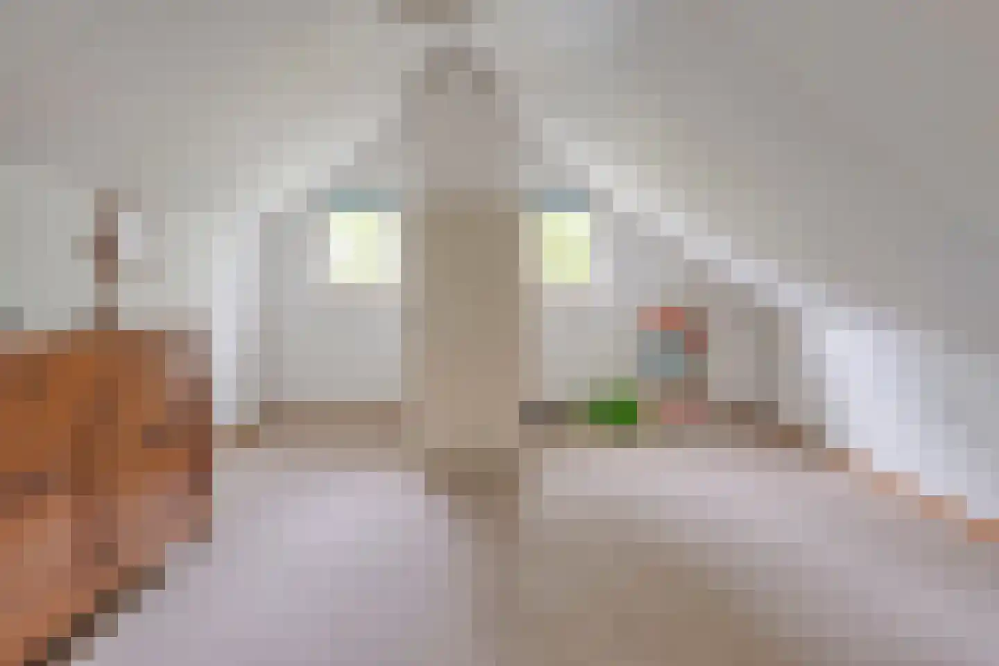 Beukendreef 73 Oisterwijk thumbnail 36