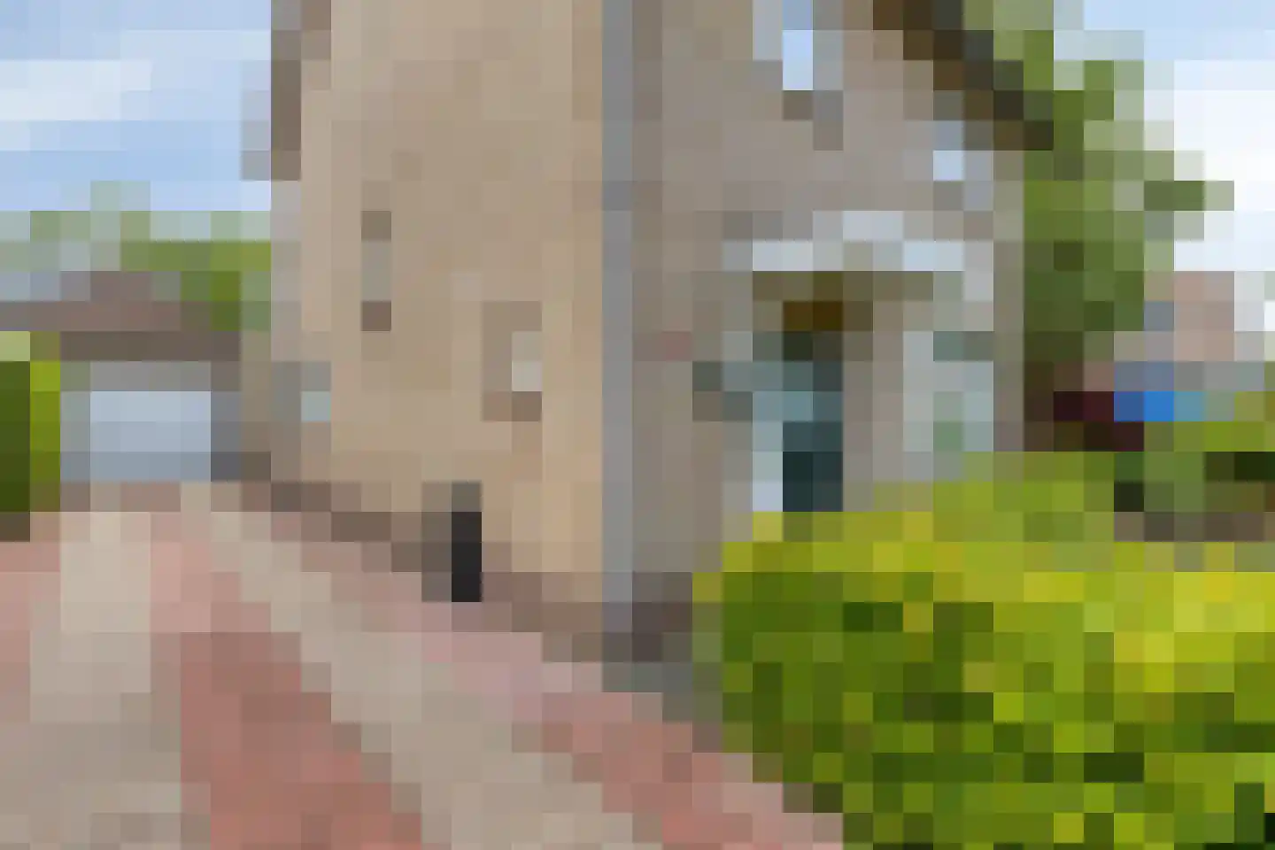 Beukendreef 73 Oisterwijk thumbnail 4