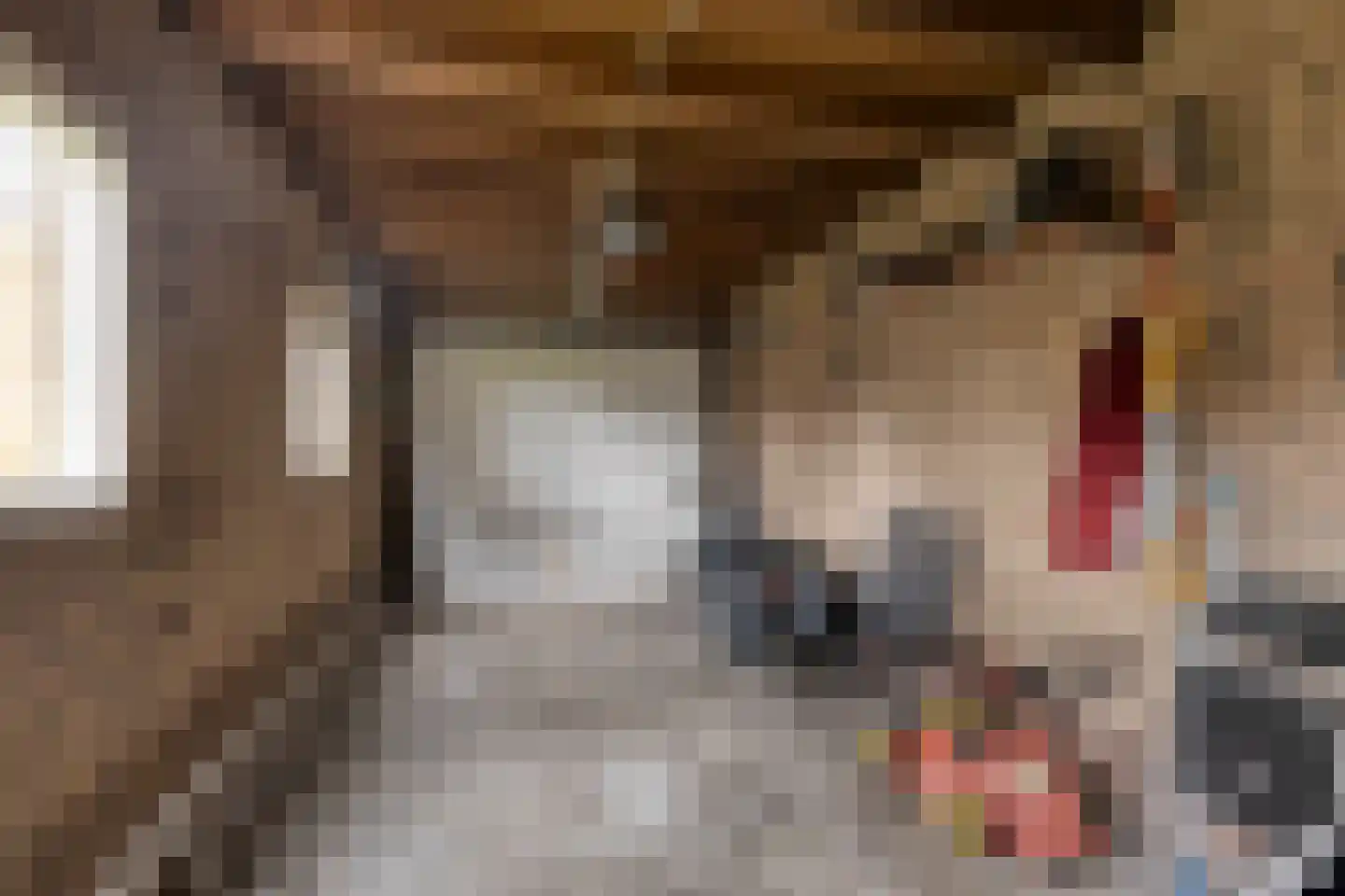 Beukendreef 73 Oisterwijk thumbnail 42
