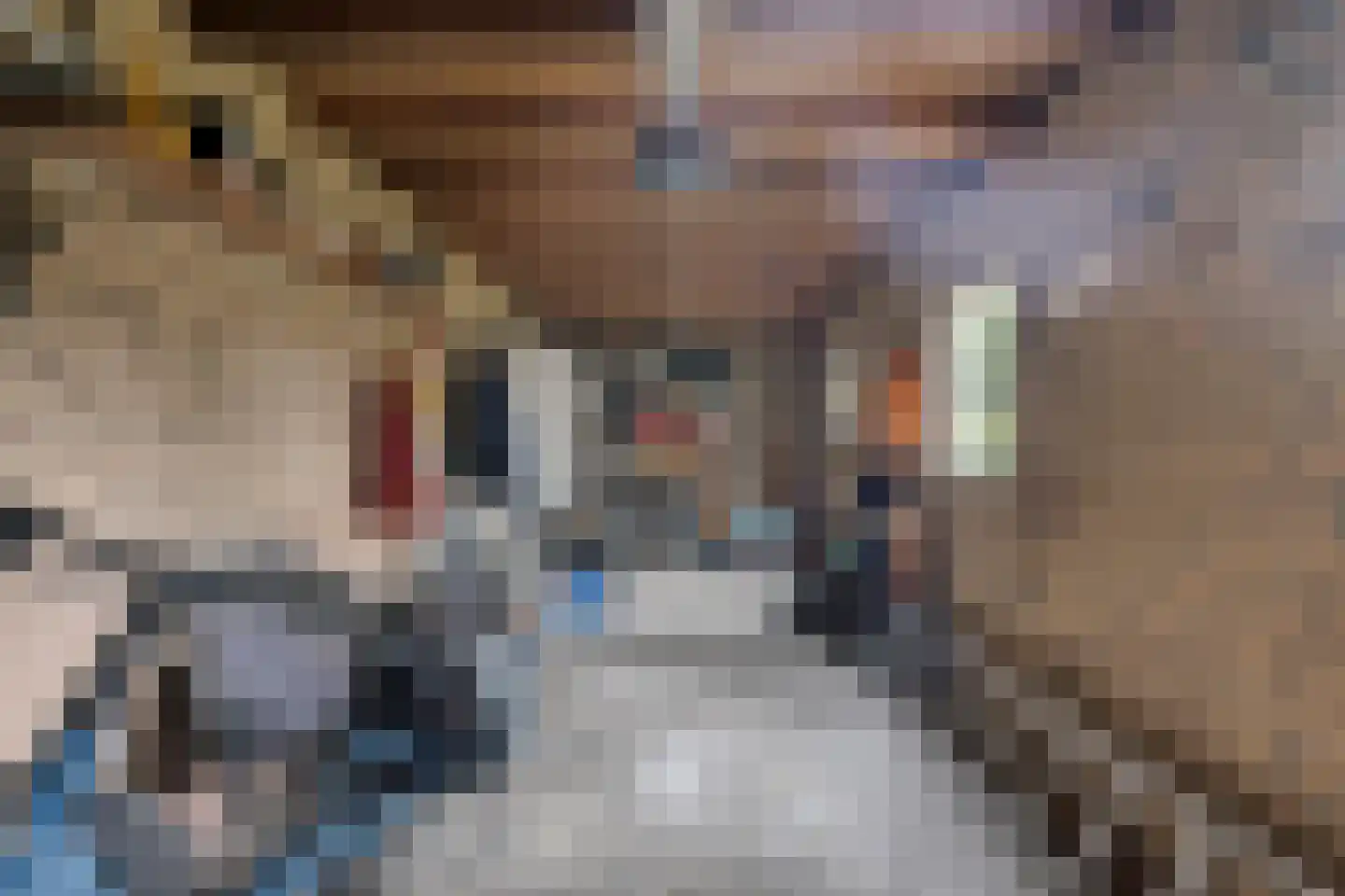 Beukendreef 73 Oisterwijk thumbnail 43