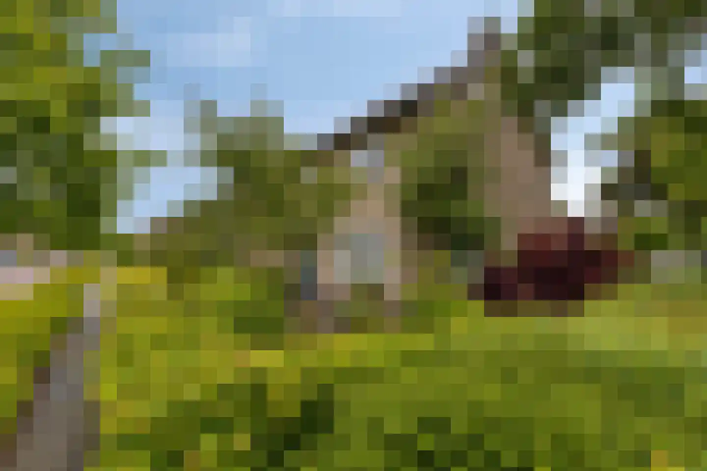 Beukendreef 73 Oisterwijk thumbnail 44