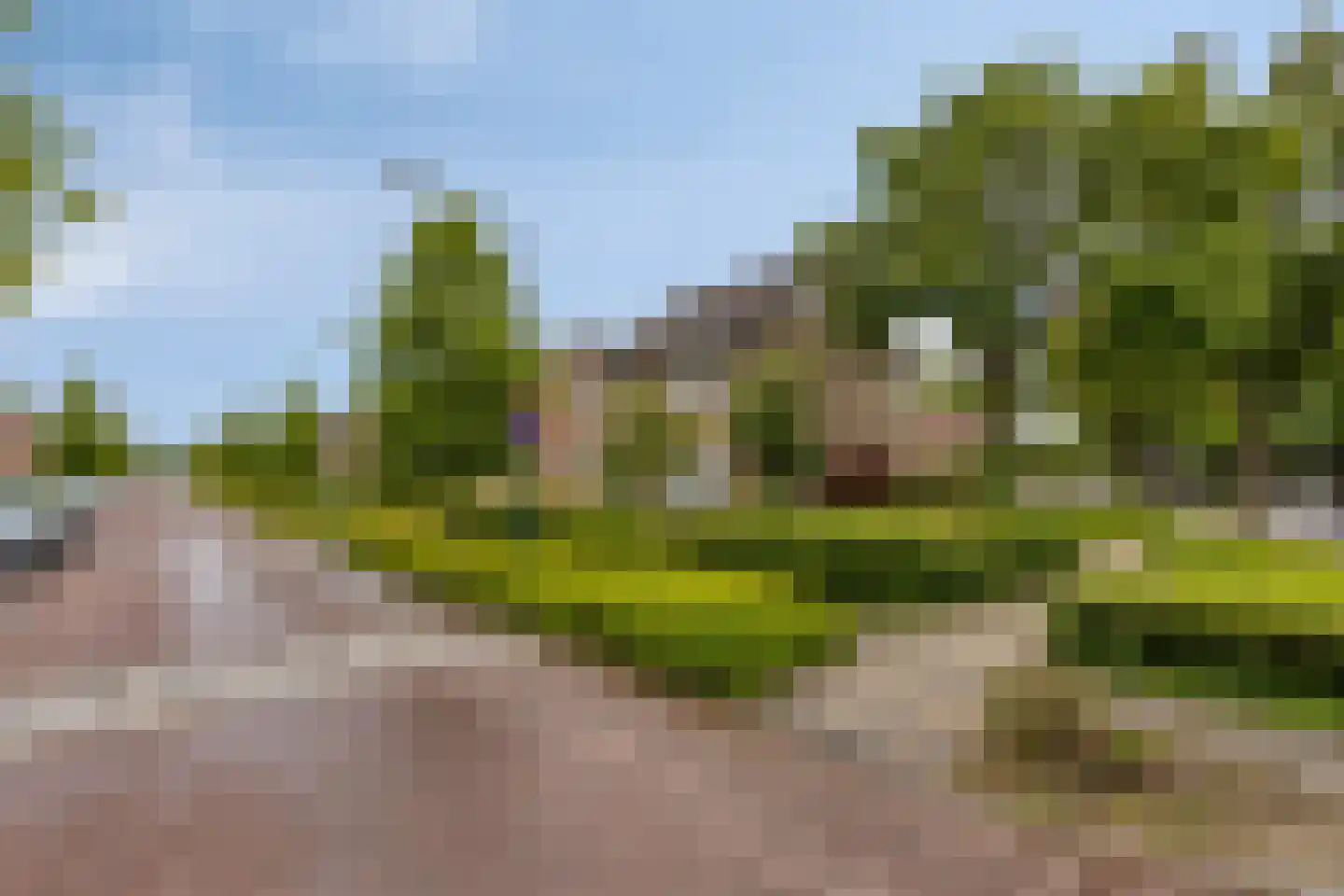 Beukendreef 73 Oisterwijk thumbnail 46