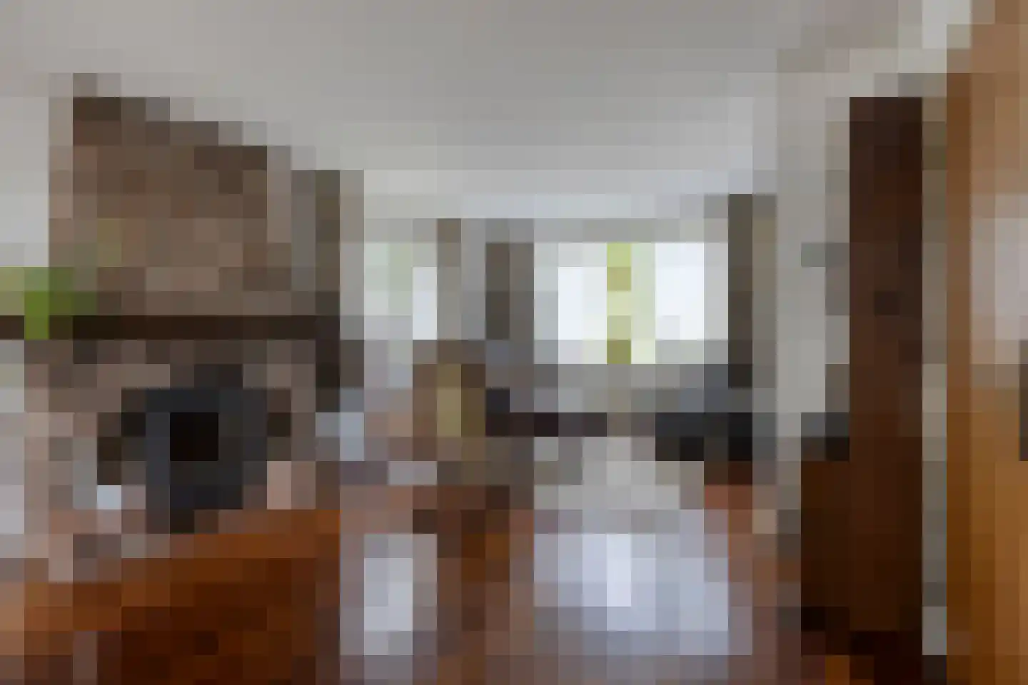 Beukendreef 73 Oisterwijk thumbnail 8