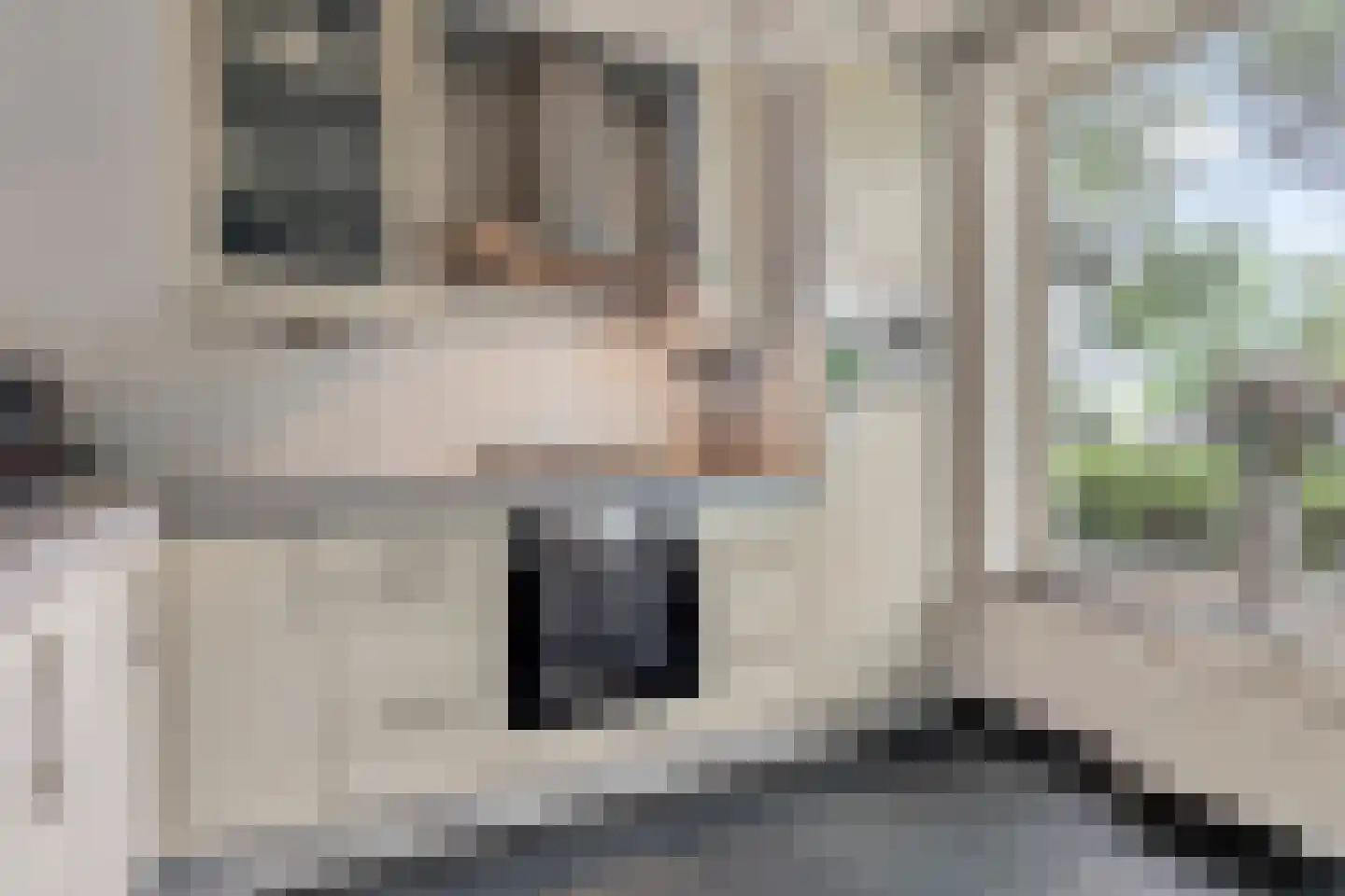 Beukengaard 12 Goirle thumbnail 12