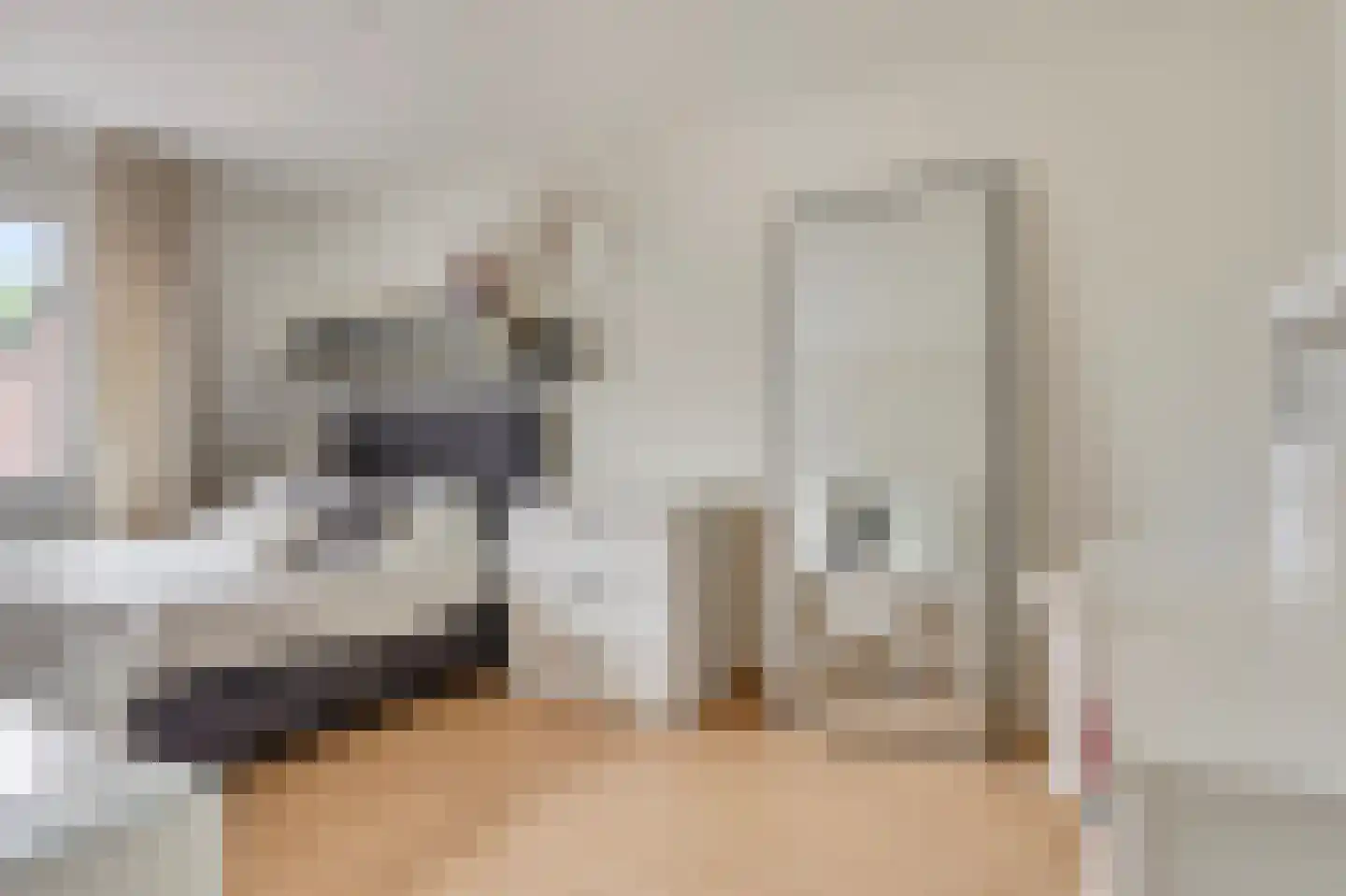 Beukengaard 12 Goirle thumbnail 18