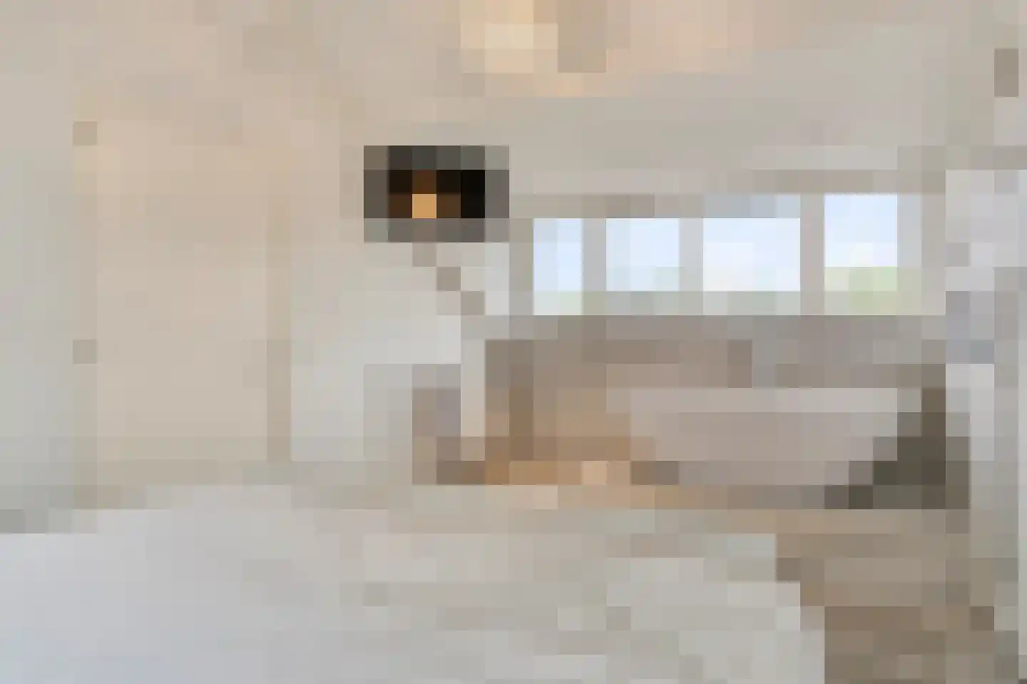 Beukengaard 12 Goirle thumbnail 28