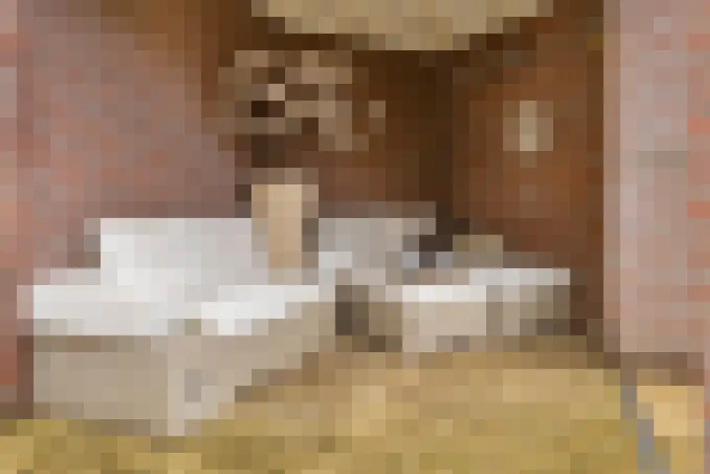 Beukengaard 12 Goirle thumbnail 35