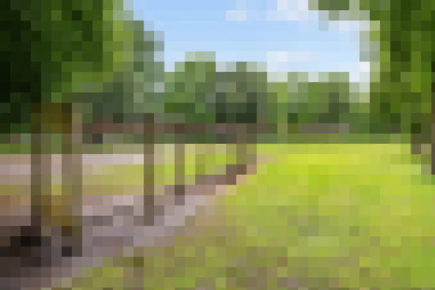 Beukengaard 12 Goirle thumbnail 38