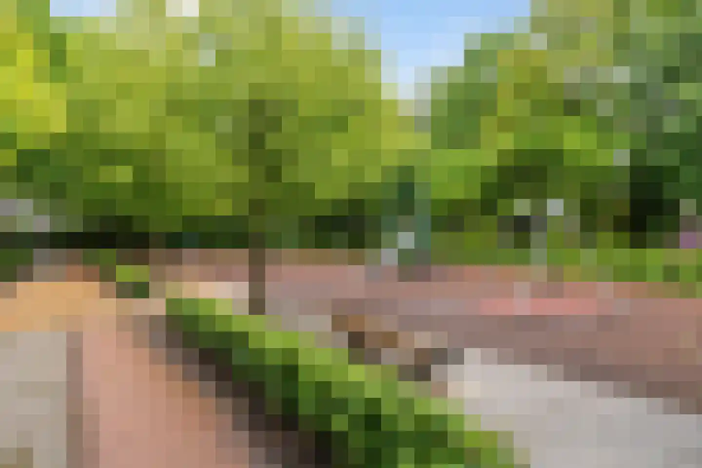 Beukengaard 12 Goirle thumbnail 39
