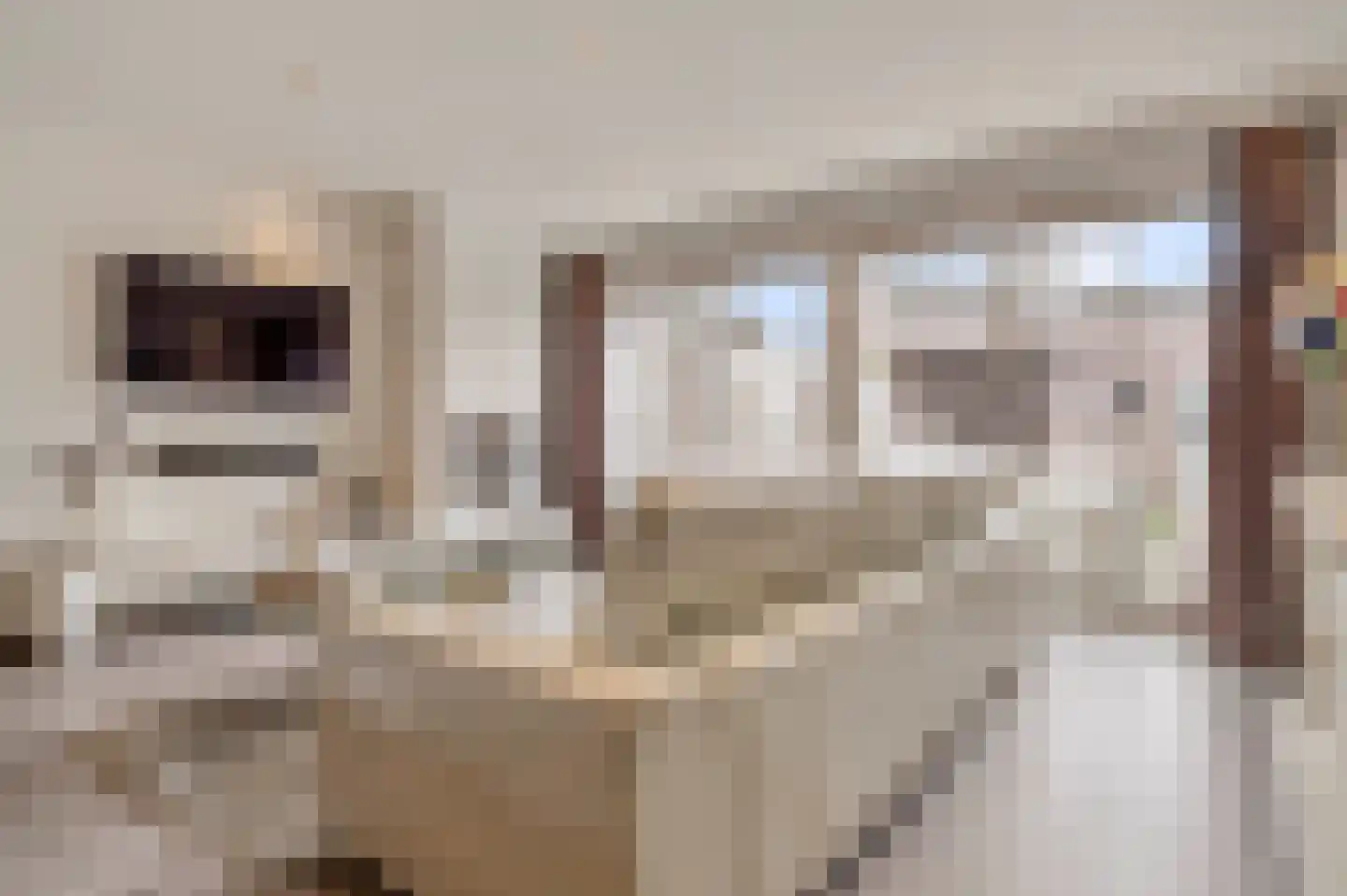 Beukengaard 12 Goirle thumbnail 4