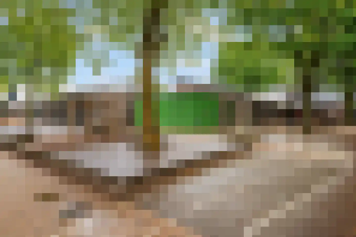 Beukengaard 12 Goirle thumbnail 40