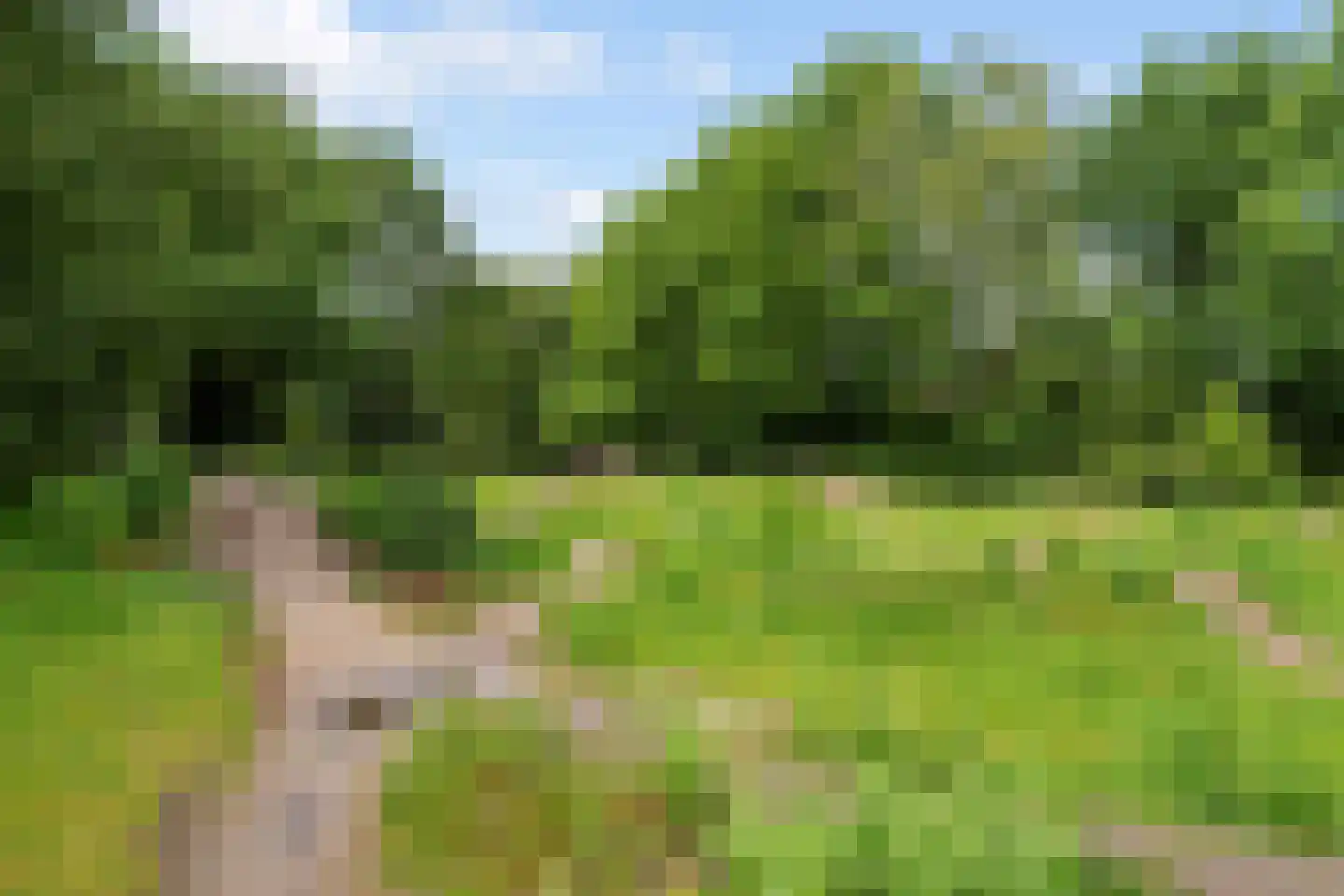 Beukengaard 12 Goirle thumbnail 41