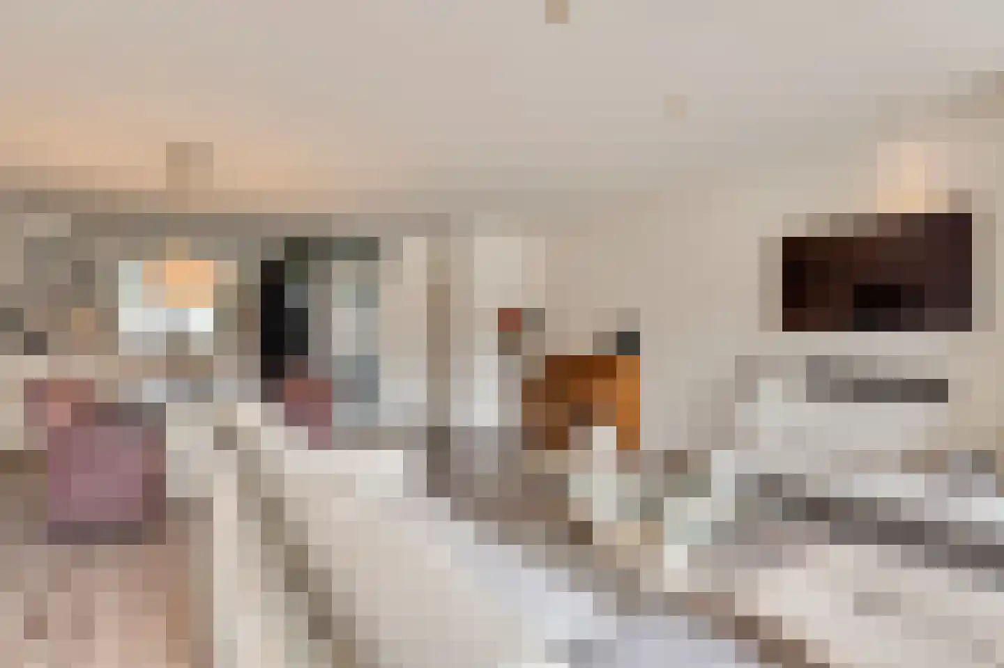 Beukengaard 12 Goirle thumbnail 6