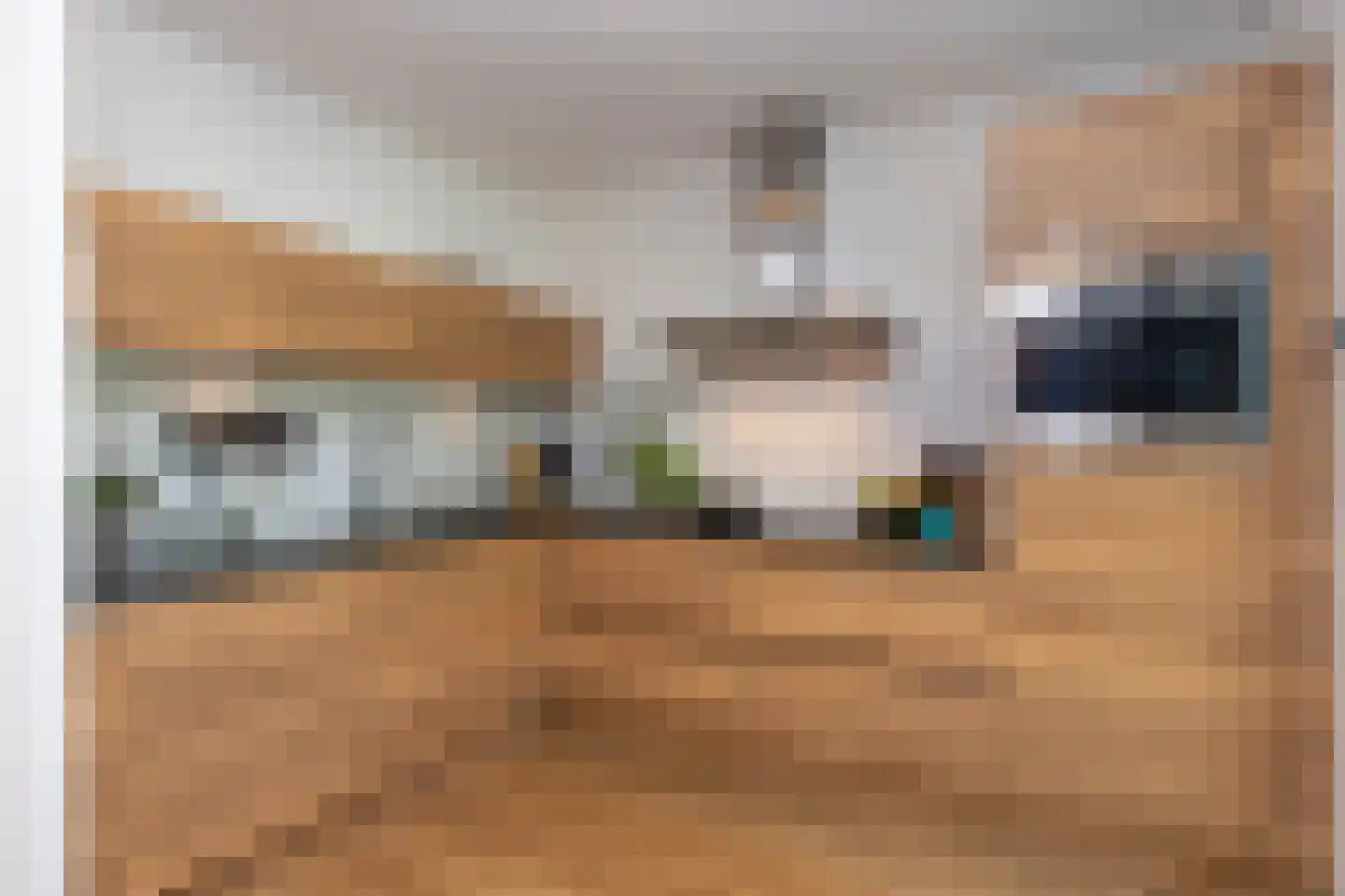 Beukengaard 28 Goirle thumbnail 11