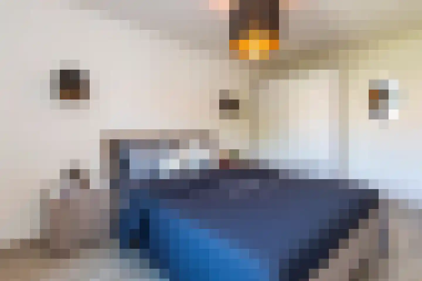 Beukengaard 28 Goirle thumbnail 17