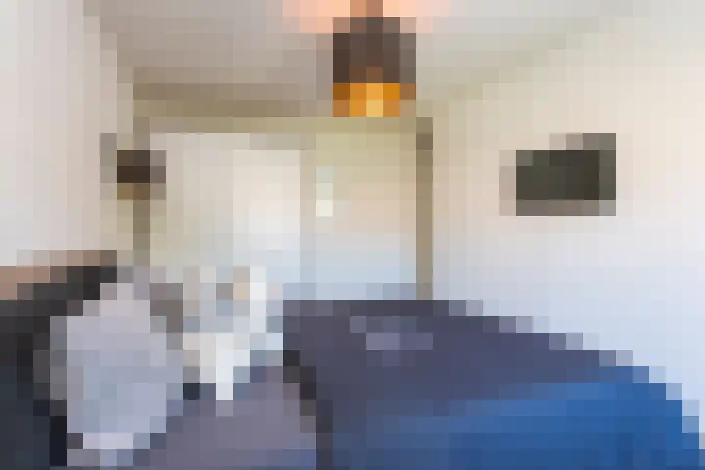 Beukengaard 28 Goirle thumbnail 18