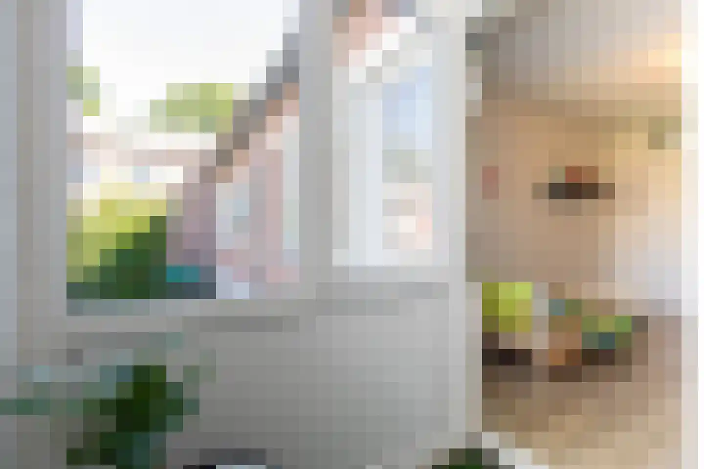 Beukengaard 28 Goirle thumbnail 22