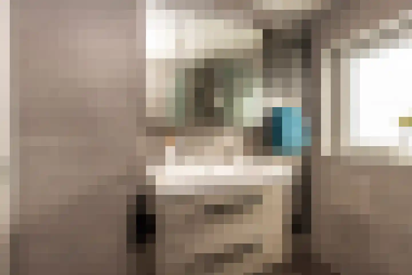Beukengaard 28 Goirle thumbnail 26
