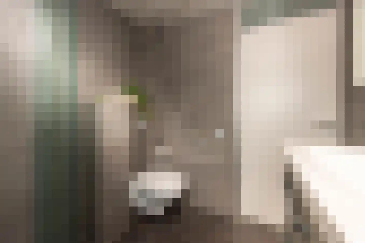Beukengaard 28 Goirle thumbnail 27