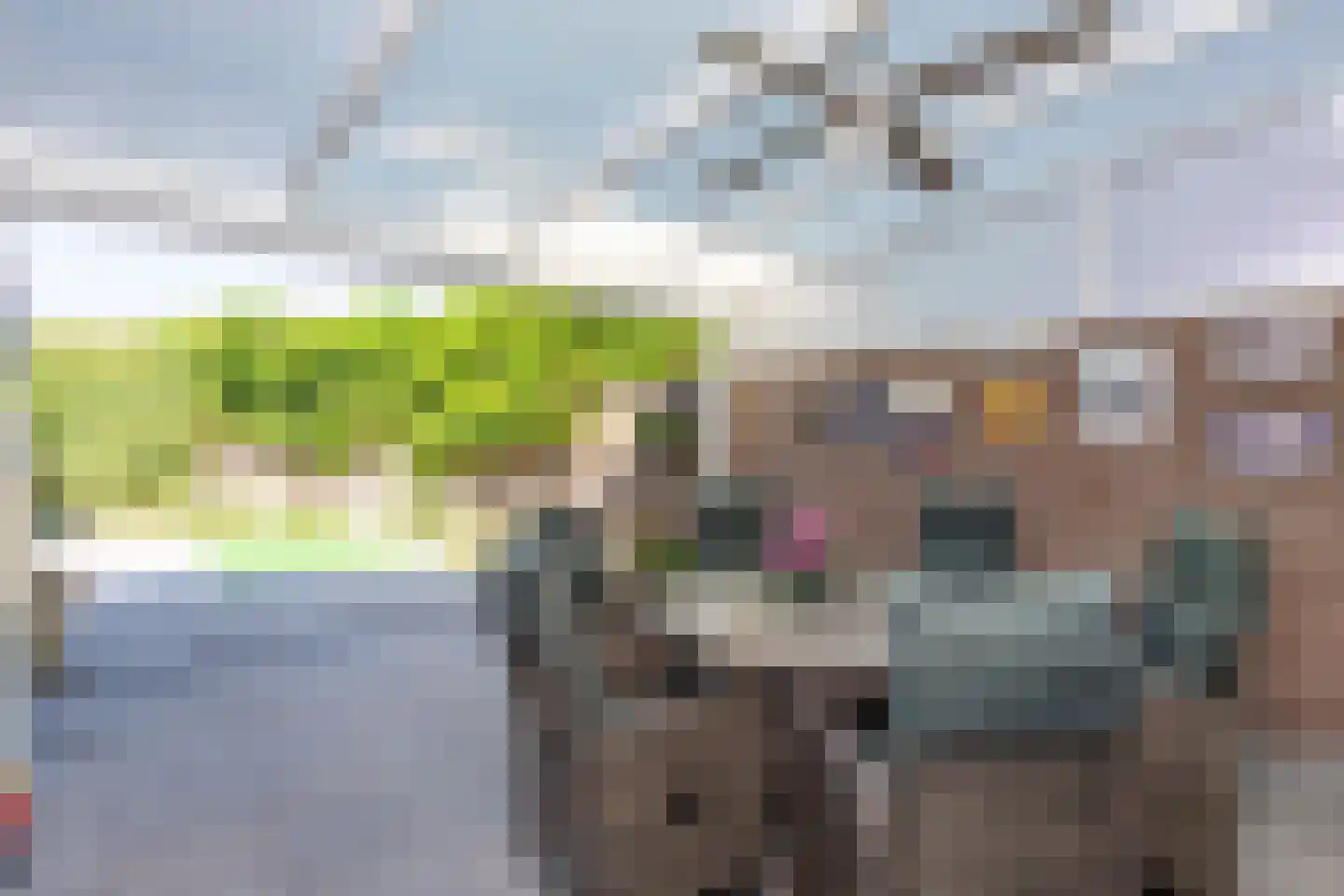 Beukengaard 28 Goirle thumbnail 32