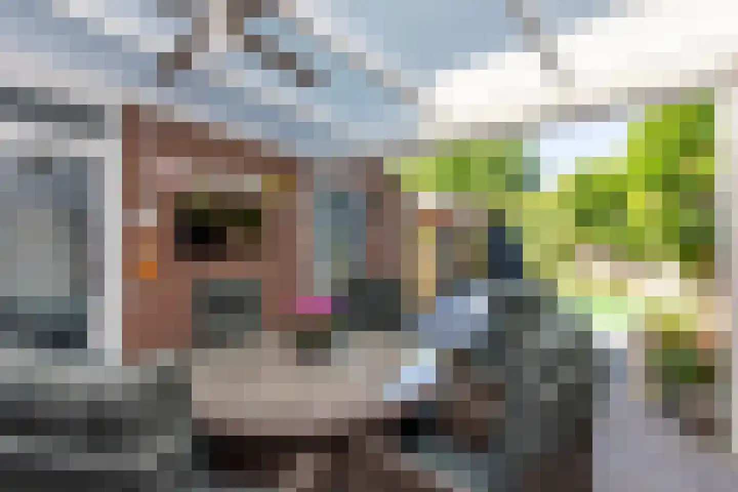 Beukengaard 28 Goirle thumbnail 33
