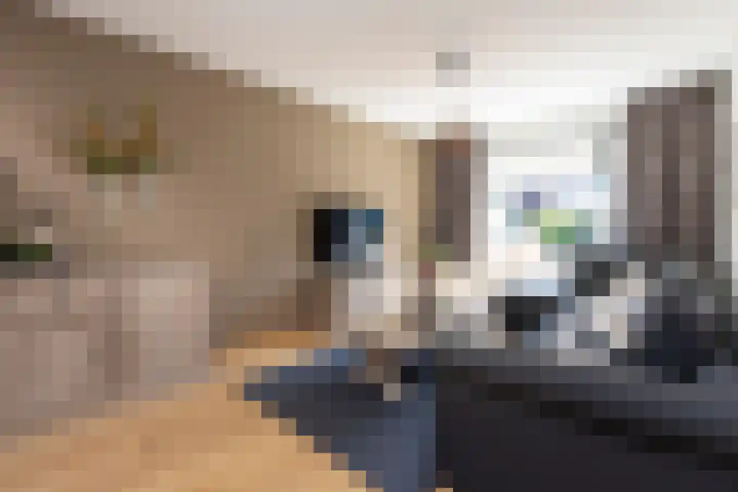 Beukengaard 28 Goirle thumbnail 4