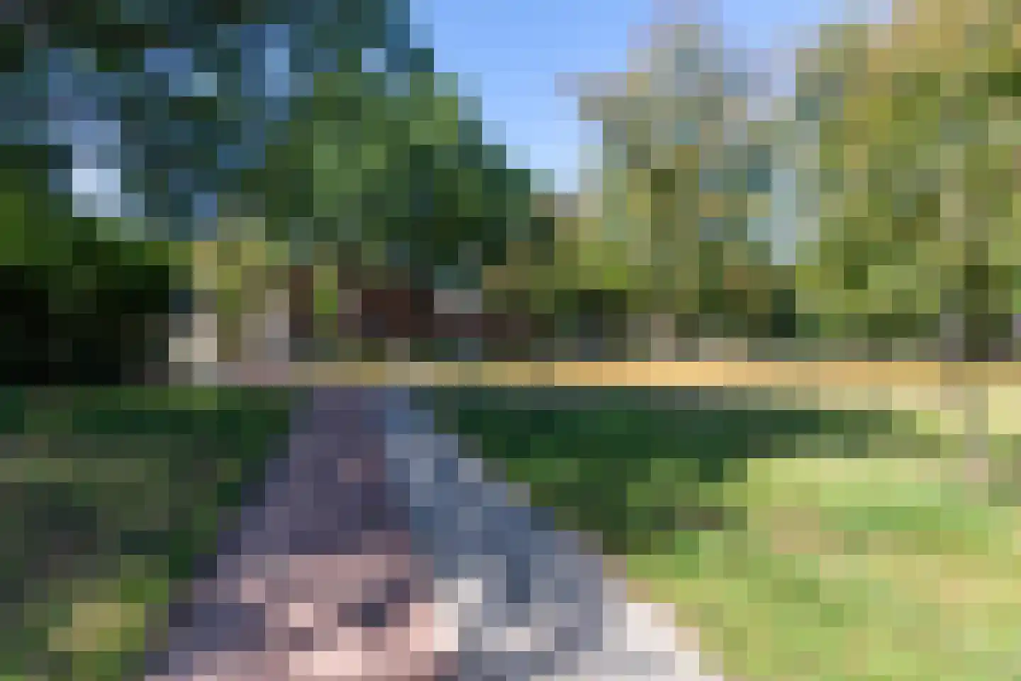 Beukengaard 28 Goirle thumbnail 41