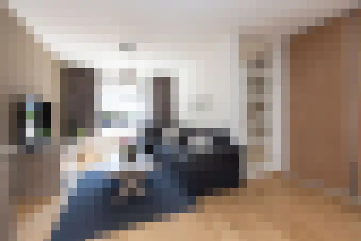 Beukengaard 28 Goirle thumbnail 5