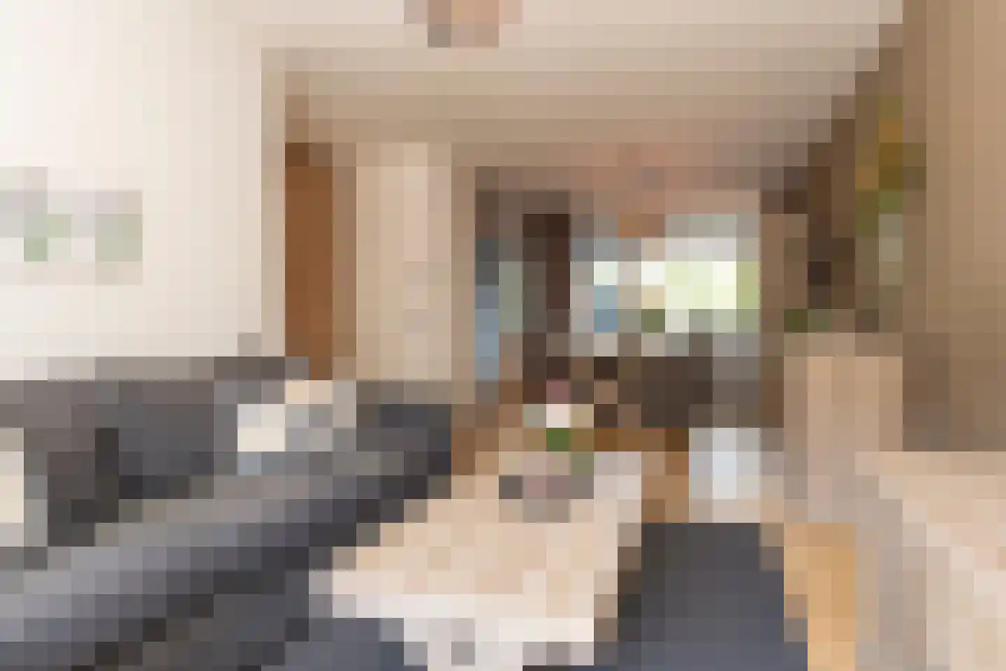 Beukengaard 28 Goirle thumbnail 6