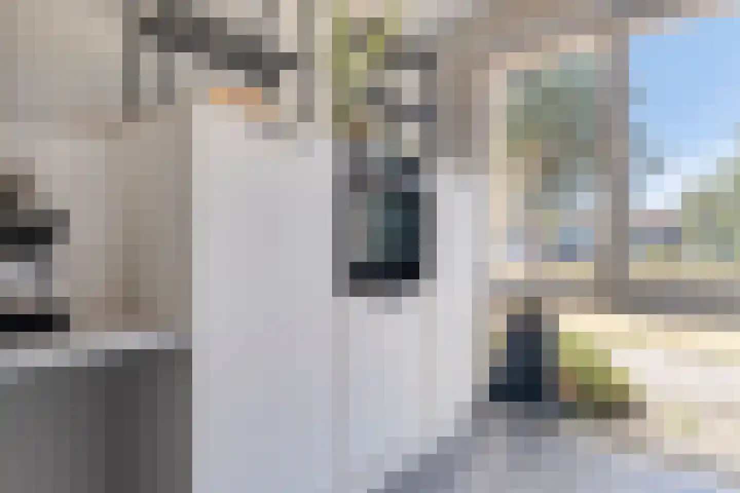 Beukengaarde 3 Hendrik-Ido-Ambacht thumbnail 10