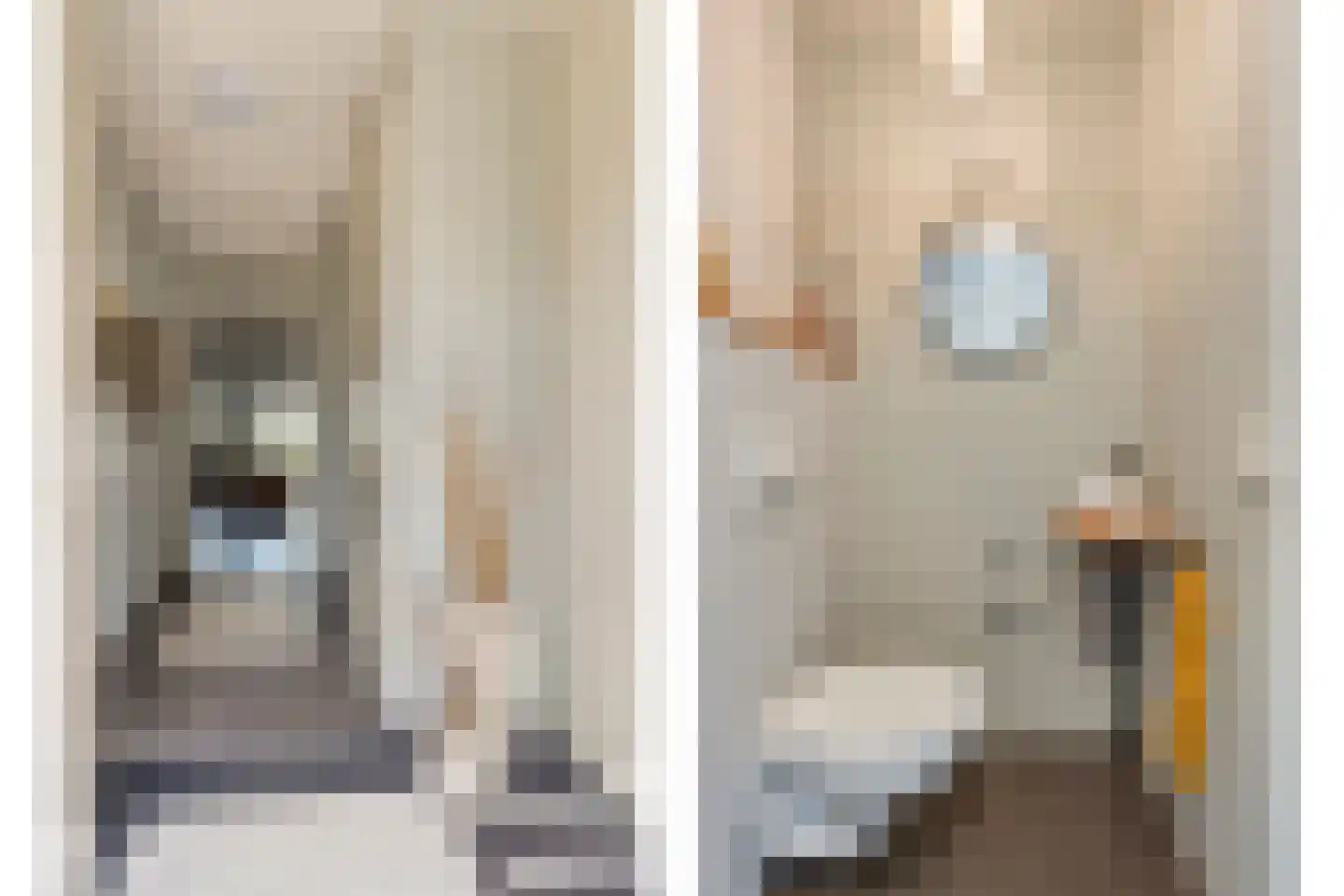 Beukengaarde 3 Hendrik-Ido-Ambacht thumbnail 13
