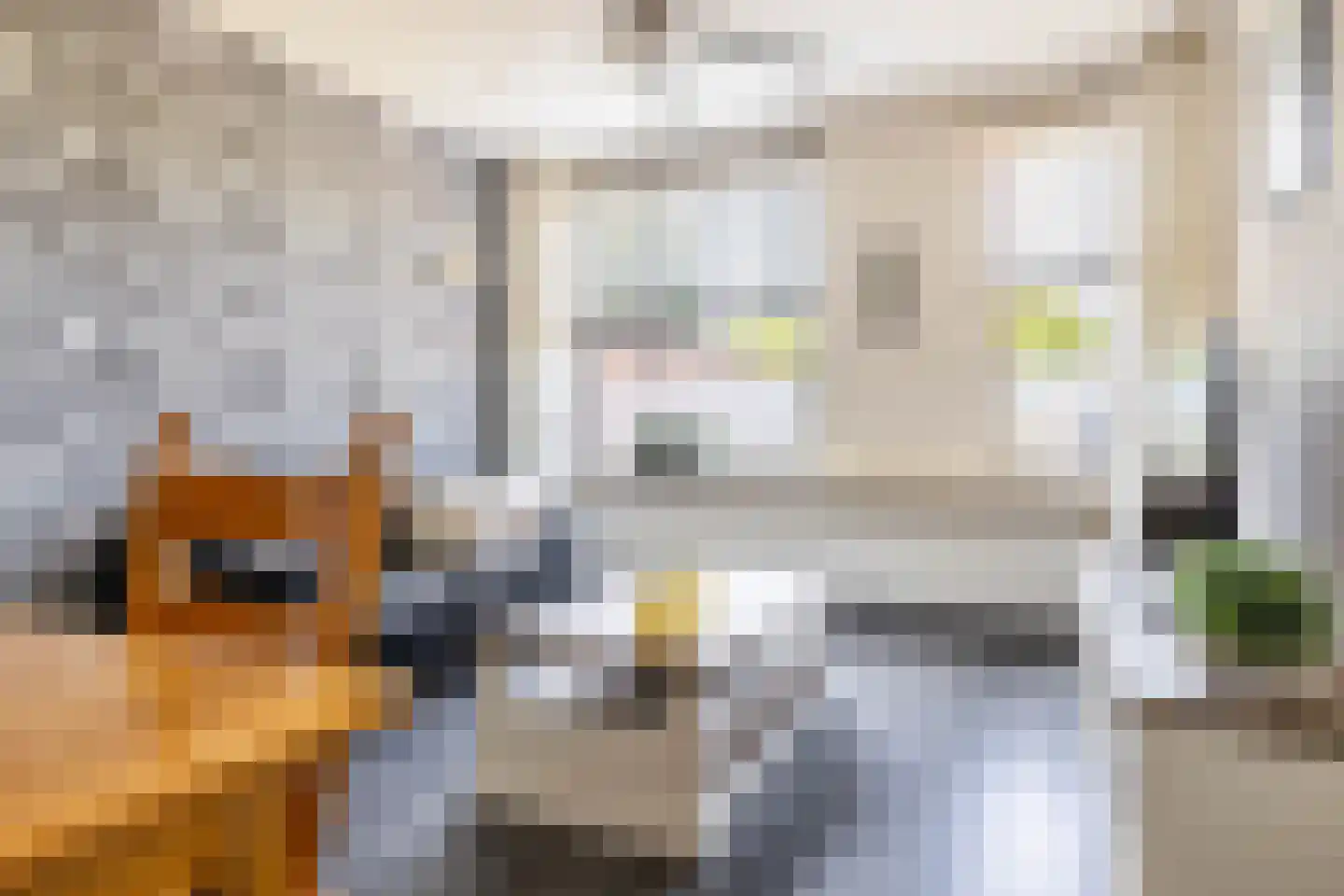 Beukenhage 24 Stadskanaal thumbnail 11