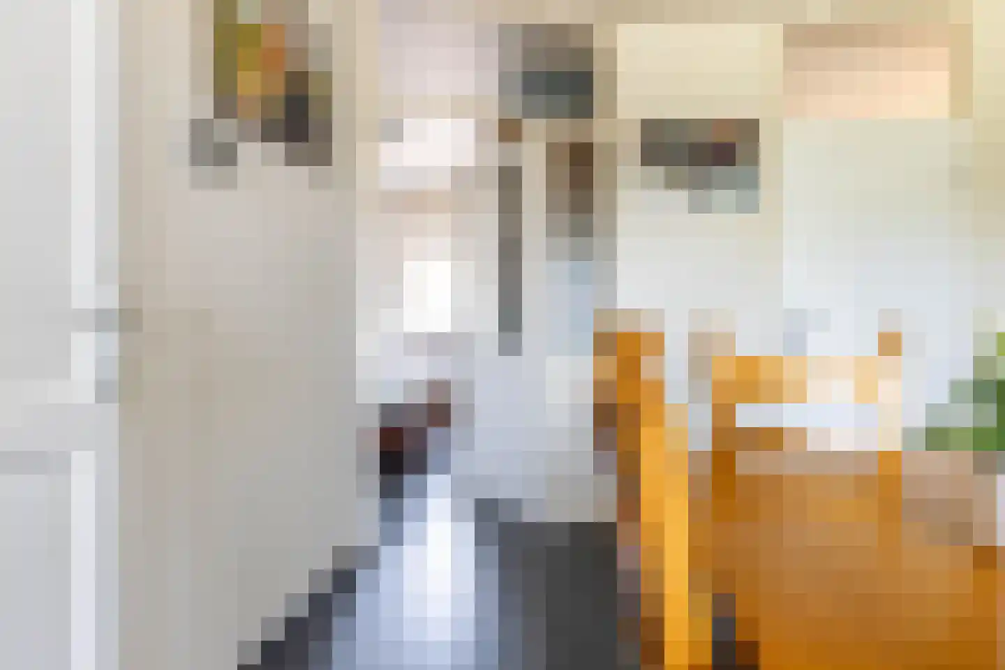 Beukenhage 24 Stadskanaal thumbnail 17