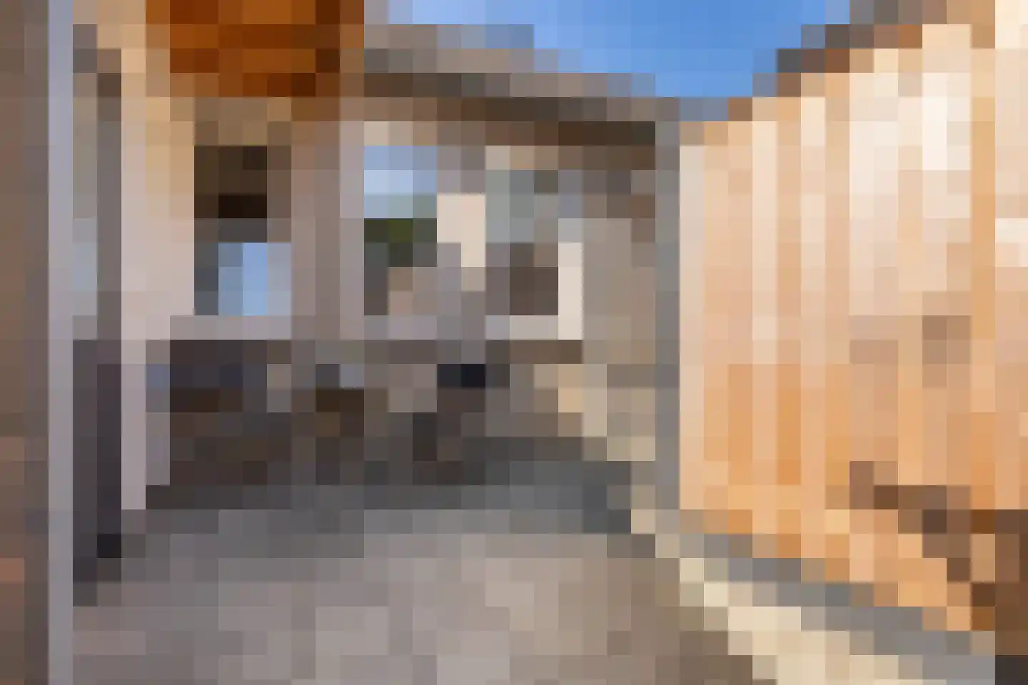 Beukenhage 24 Stadskanaal thumbnail 35