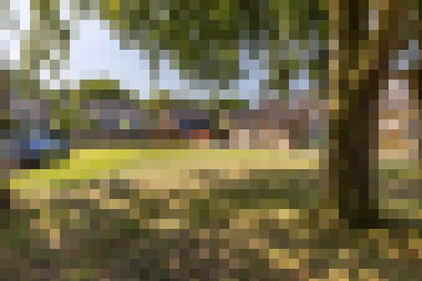 Beukenhage 24 Stadskanaal thumbnail 46