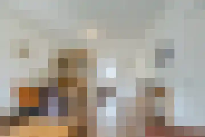 Beukenhoek 27 Vroomshoop thumbnail 10