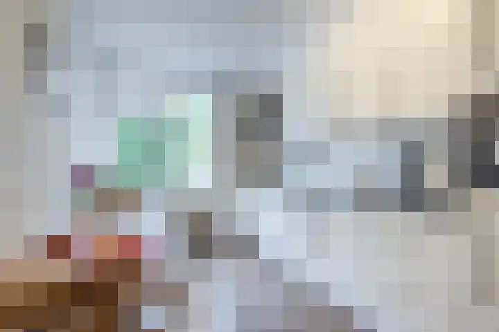 Beukenhoek 27 Vroomshoop thumbnail 13