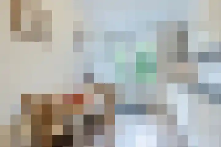 Beukenhoek 27 Vroomshoop thumbnail 14