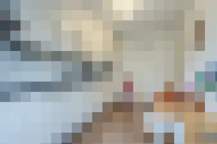 Beukenhoek 27 Vroomshoop thumbnail 15