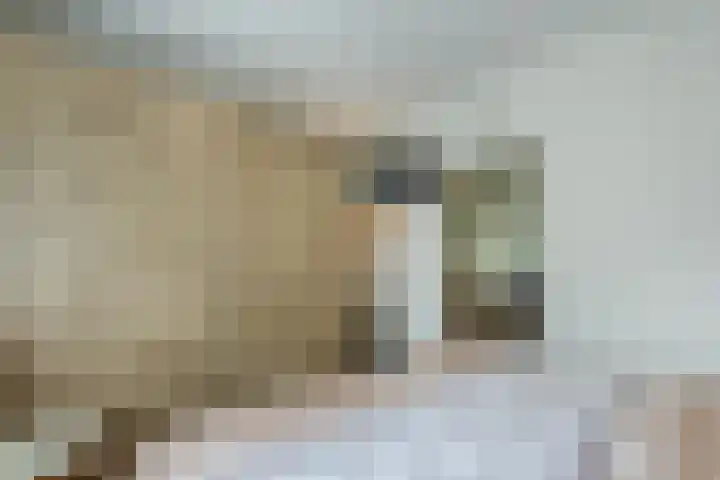 Beukenhoek 27 Vroomshoop thumbnail 20